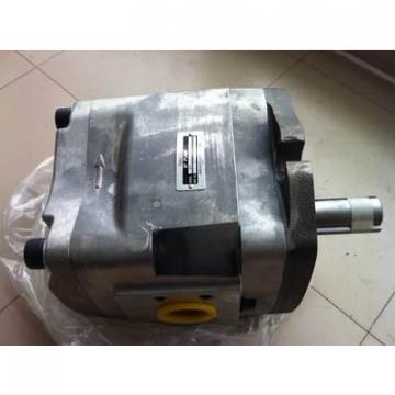 PV29-2R1D-J02 Hidrolik pompa